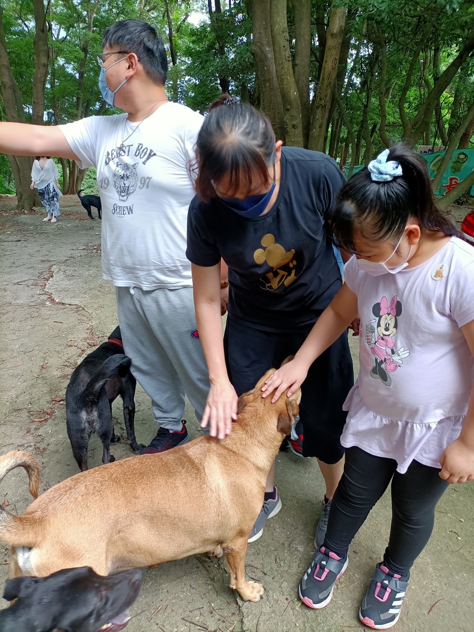 2022年6月 桃園狗園・貓咪中途