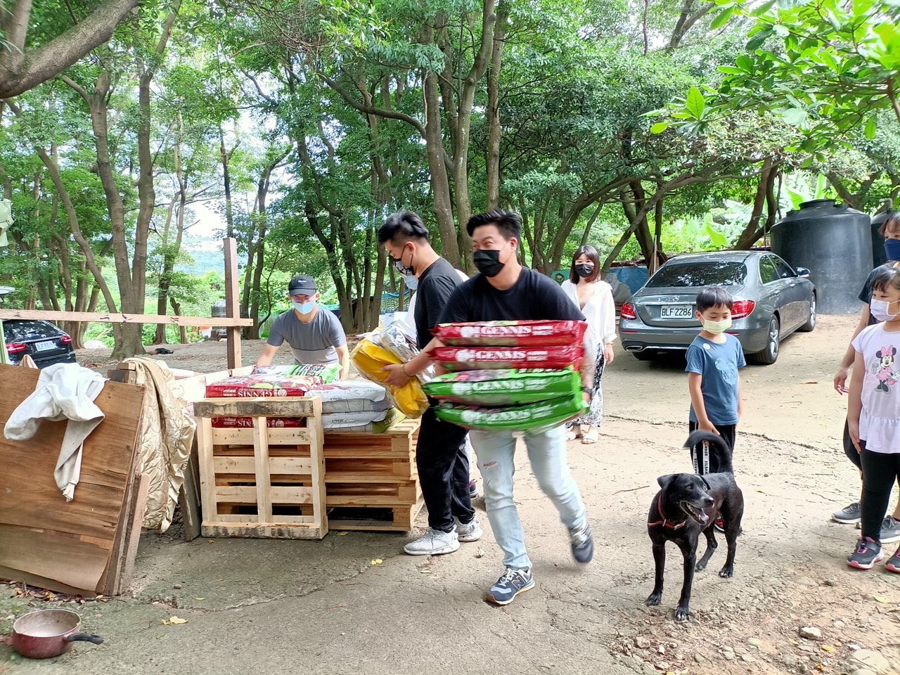 2022年6月 桃園狗園・貓咪中途