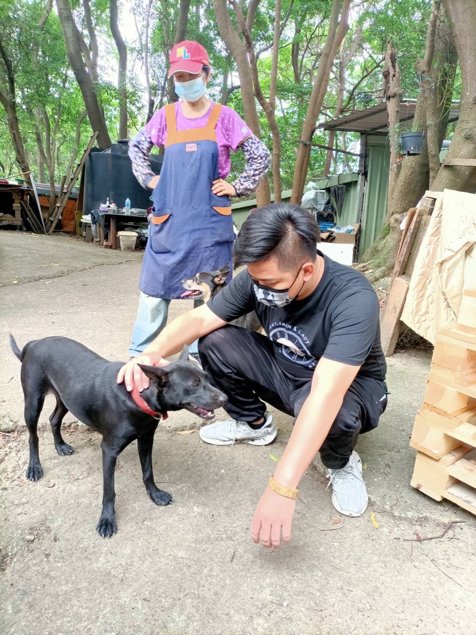 2022年6月 桃園狗園・貓咪中途