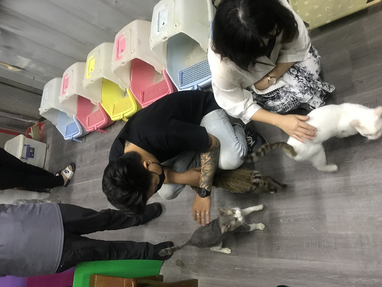 2022年6月 桃園狗園・貓咪中途