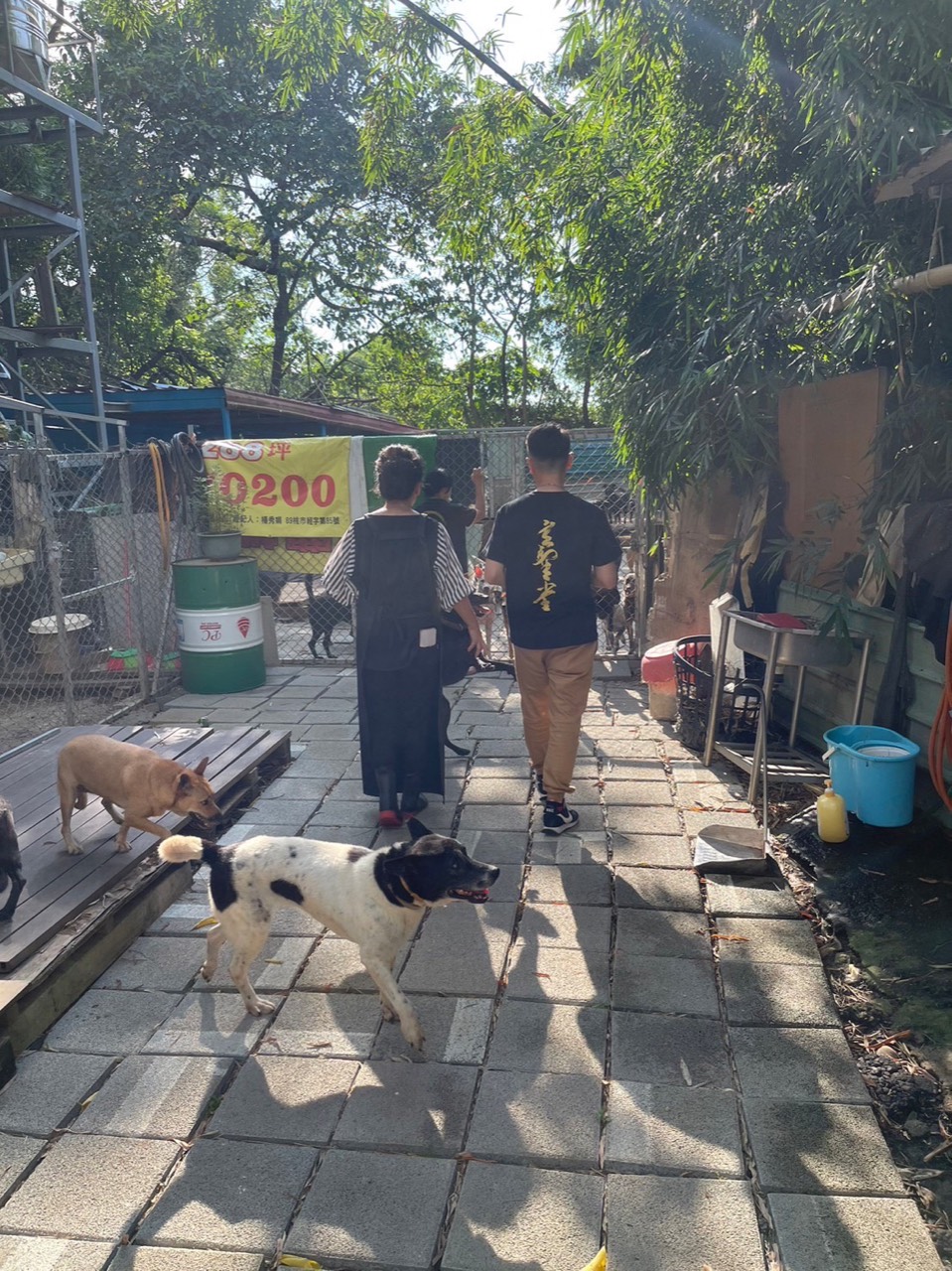 2023年7月 桃園毛孩公益