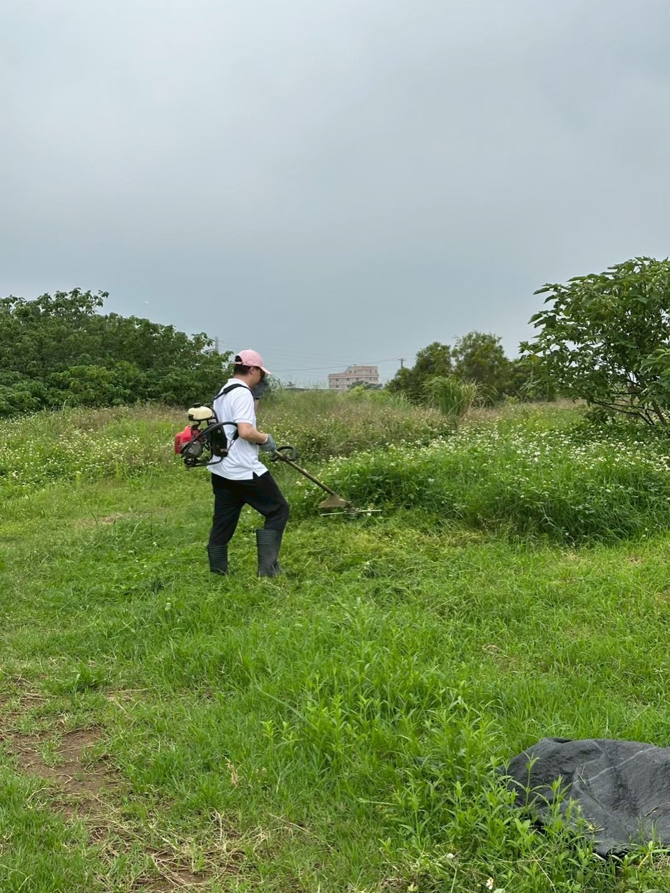 2025年4月 桃園官媽媽狗園