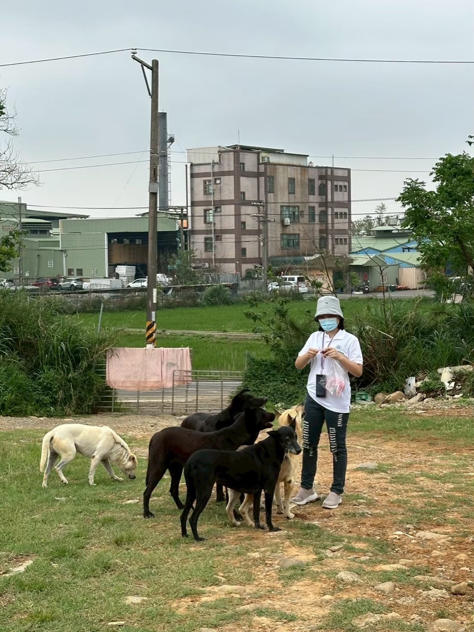 2025年4月 桃園官媽媽狗園